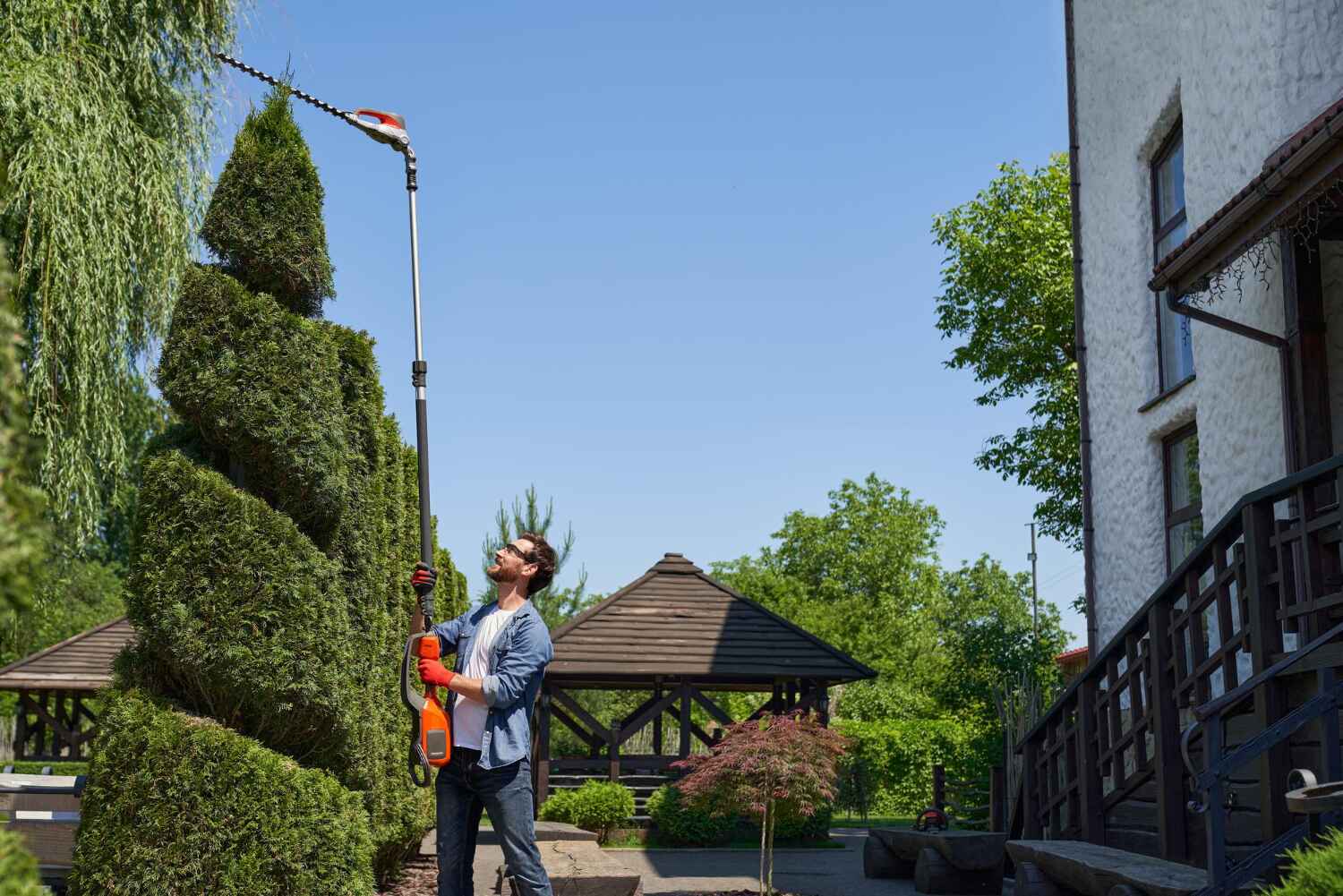 Palm Tree Trimming in Snellville, GA